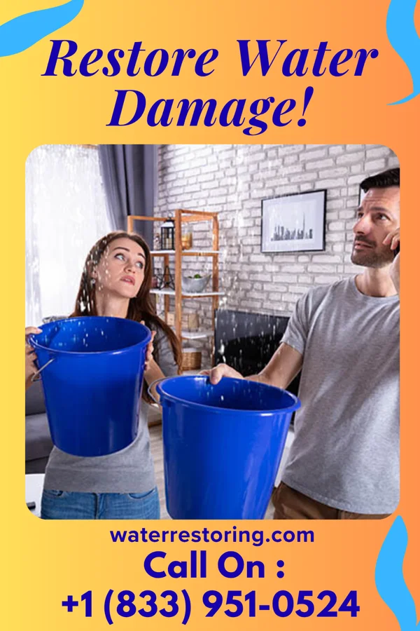 water restoration Priority Water Removal Company South Palm Beach