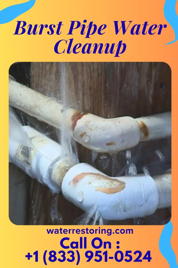 Burst Pipe Water Cleanup in South Palm Beach, FL